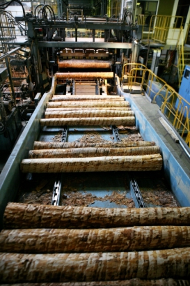 Lavian forestry exports reach a record high
